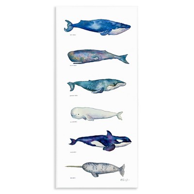 Stupell Industries Maritime Sea Life Chart, 7" x 17"