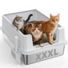 Large Cat Litter Box 28x20 Inches, High-Sided Enclosed Litter Pan with Low Entry, Non-Stick Bottom for 3+ Cats, Senior & Overweight Cat Friendly - 2 of 4
