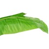 vidaXL Lifelike Artificial Banana Tree with Pot – 114.2"-118.1" Tall – Green Indoor Decorative Plant for Home - 4 of 4
