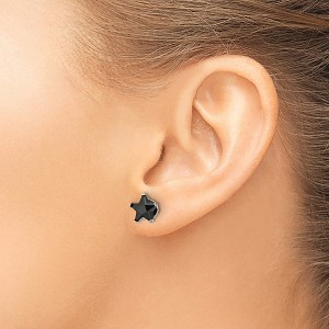 Chisel Stainless Steel Polished 8mm Black Star Cubic Zirconia Stud Earrings - 1 of 4