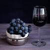 Van Zyverden Premium Grafted Bareroot Zinfandel Grape Vine - 3 of 4