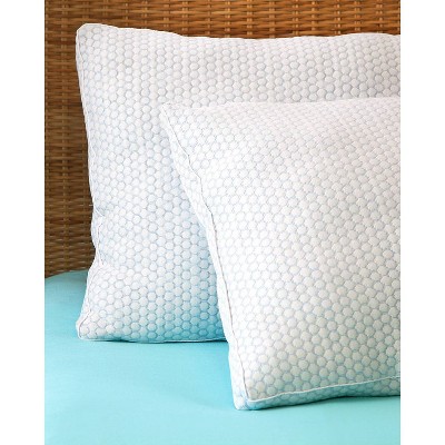 Coolmax Hypoallergenic Gusseted Standard Pillow with Blue and White Cover
