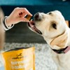 Ready Pet Go Turmeric & Collagen Dog Chews, Hip and Joint Chews for Dogs Mobility & Comfort, Bacon & Cheese Flavor, 90ct - 2 of 4