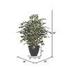 Vickerman Artificial Variegated Ficus Extra Full Series - 2 of 3