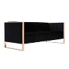 Trillium Velvet 3 Seater Sofa - Manhattan Comfort - 3 of 4