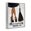 Stupell Industries Broom Co. Halloween Sign Witch Striped Stockings Framed Giclee Art - 2 of 4