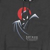 Batman The Animated Series Behind The Cape Pullover Hoodie - 2 of 4