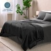 Faux Shearling Fleece Blanket by Bare Home - 4 of 4