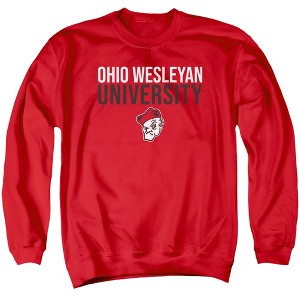 Ohio Wesleyan University Official Stacked Adult Crewneck Sweatshirt - 1 of 4