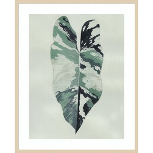 Amanti Art Variegated I by Grace Popp Wood Framed Wall Art Print - 1 of 4