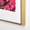 Bethany Young Photography California Blooms Metal Framed Art Print - Deny Designs - 4 of 4