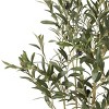 Syemin Artificial Plants Artificial Olive Tree Realistic Olive Branch Detail Rich Green Foliage Low Care for Living Room, Green, 49.5"*7"*7" - 3 of 4