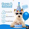Pacific Pups Products Dog Birthday Party Set - 5 Piece Kit for Birthday Party for Dogs - 3 of 4