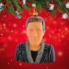Cody Foster 4.25 In Walken Christopher American Actor Tree Ornaments - 4 of 4