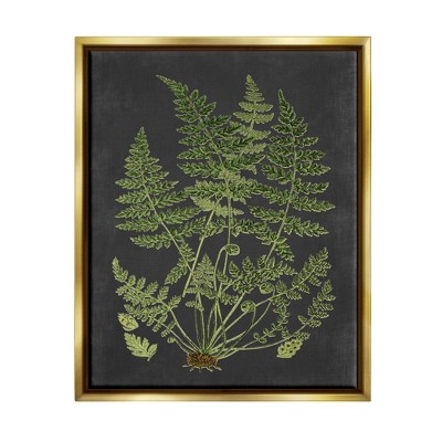 Stupell Industries Botanical Drawing Green Black Design