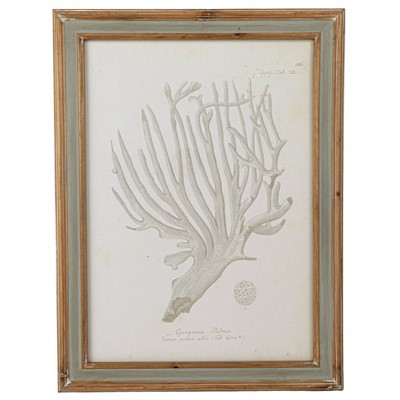 Reclaimed Wood Framed Coral Print Wall Art Set of 4