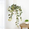 Northlight 39.5" Caladium Spring Floral Artificial Hanging Bush - Green/Red - 2 of 4