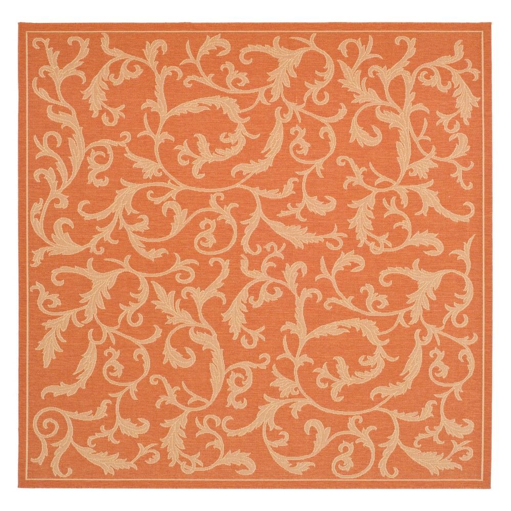 6'7inX6'7in Square Jassy Patio Rug Terracotta/Natural - Safavieh