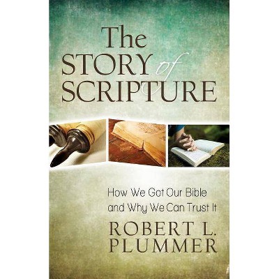 The Story of Scripture - by  Robert Plummer (Paperback)