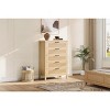 Dresser for Bedroom Rattan Chest of Dressers Tall Dresser for Closet with Drawers Boho Night Stand Large - 2 of 4
