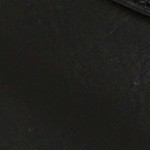 black snake