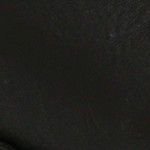 black snake
