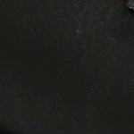 black snake