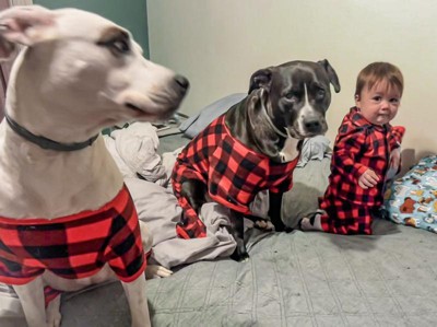 Buffalo Check Matching Family Dog Pajamas - Wondershop™ - Black/Red - S