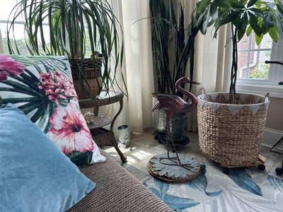 Guest review image 2 of 3, zoom in