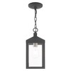 Livex Lighting Nyack 1 - Light Pendant in  Scandinavian Gray - 3 of 4