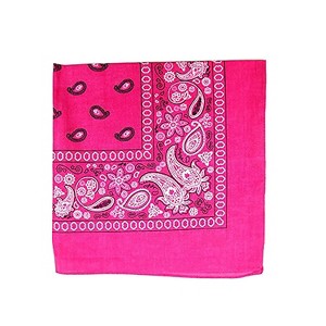 Unibasic Paisley 100% Cotton Bandana XL, head wrap, handkerchief - 10 Pack - 1 of 4