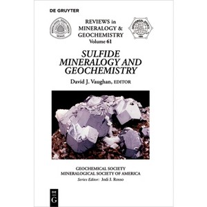 Sulfide Mineralogy and Geochemistry - (Reviews in Mineralogy & Geochemistry) by  David J Vaughan (Paperback) - 1 of 1