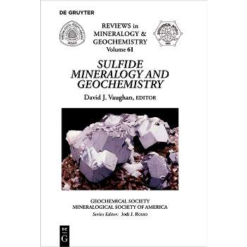 Sulfide Mineralogy and Geochemistry - (Reviews in Mineralogy & Geochemistry) by  David J Vaughan (Paperback)