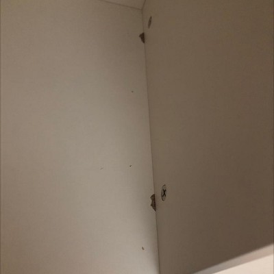 Guest review image 2 of 2, zoom in