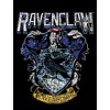 Harry Potter Ravenclaw Crest Grunge Black T-shirt Toddler Boy to Youth Boy - 2 of 3