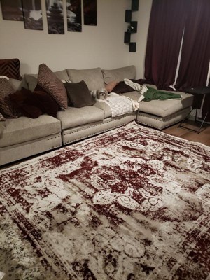 Guest review image 1 of 1, zoom in