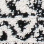 ivory/black