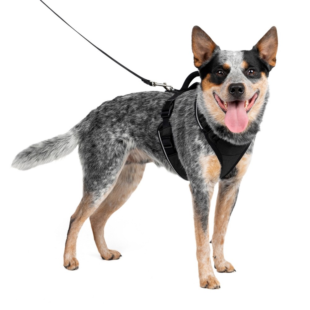 Photos - Collar / Harnesses PetSafe EasySport Adjustable Dog Harness - M - Black 