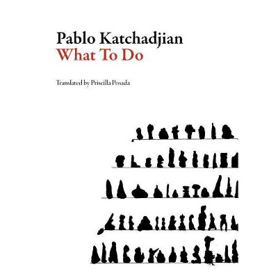 What to Do - (Argentinean Literature) by  Pablo Katchadjian (Paperback)