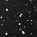 chicago cubs home 1979-1993