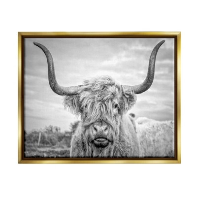 Stupell Industries Black and White Highland Cow Photograph