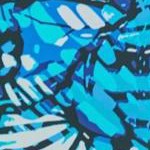 teal blue butterfly