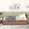 Gulches Modern Design Twin Size Platform Bed Frame with 2 Drawers for Walnut Color - 3 of 4