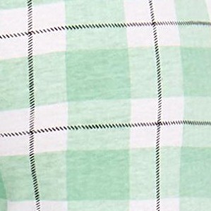 mint - plaid