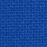 san jose earthquakes