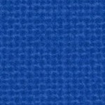 san jose earthquakes