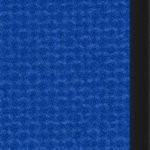 san jose earthquakes