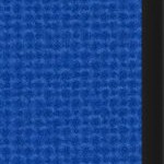 san jose earthquakes