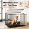 XBRIGH 42/38 Inch Dog Crates for Meidum Small Dogs Folding Metal Wire Cages Dog Kennels Pet Cage with Double-Door, Removable Tray White - 2 of 4