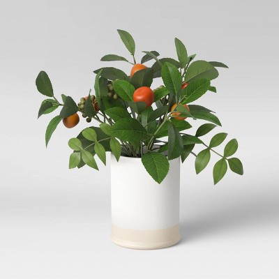 15" x 12" Artificial Citrus Plant Leaf in Ceramic Pot White - Threshold™